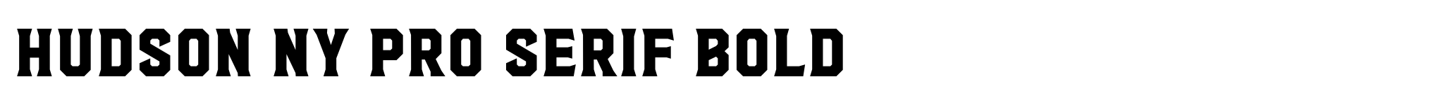 Hudson NY Pro Serif Bold image